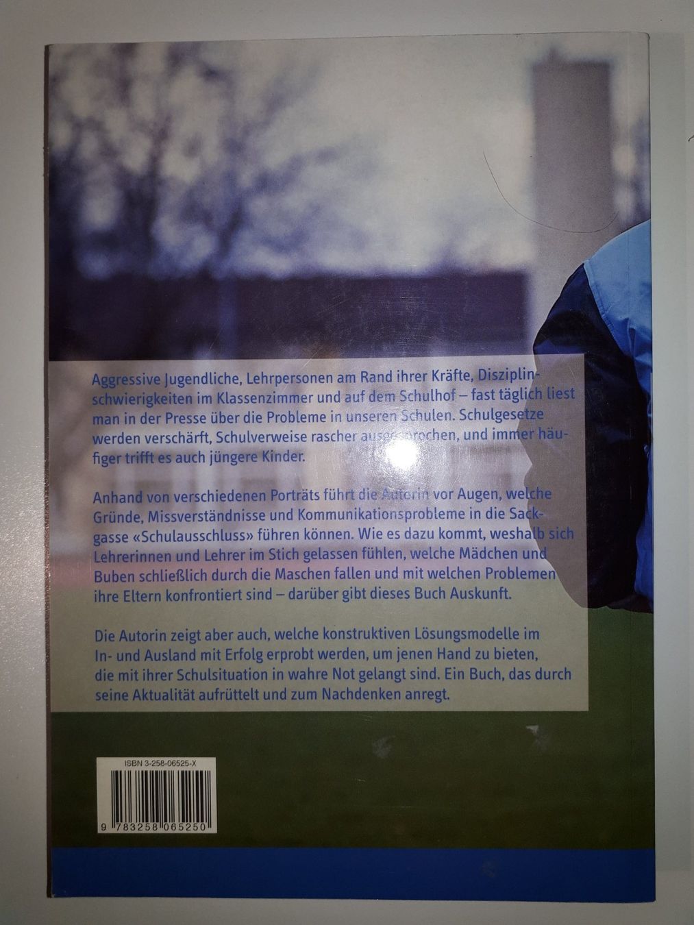 Libri: Endstation Schulausschluss? – Usato da Dietikon venduto da Buchantiqdietikon 1