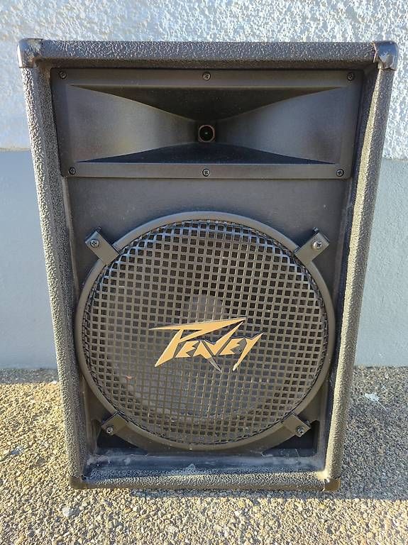 Haut-parleurs: Peavey ES-15 – D'occasion à Court par famille_schaer