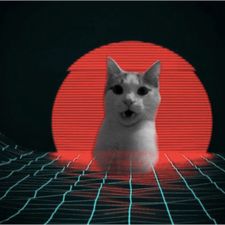 Profile image of GreyFoxx
