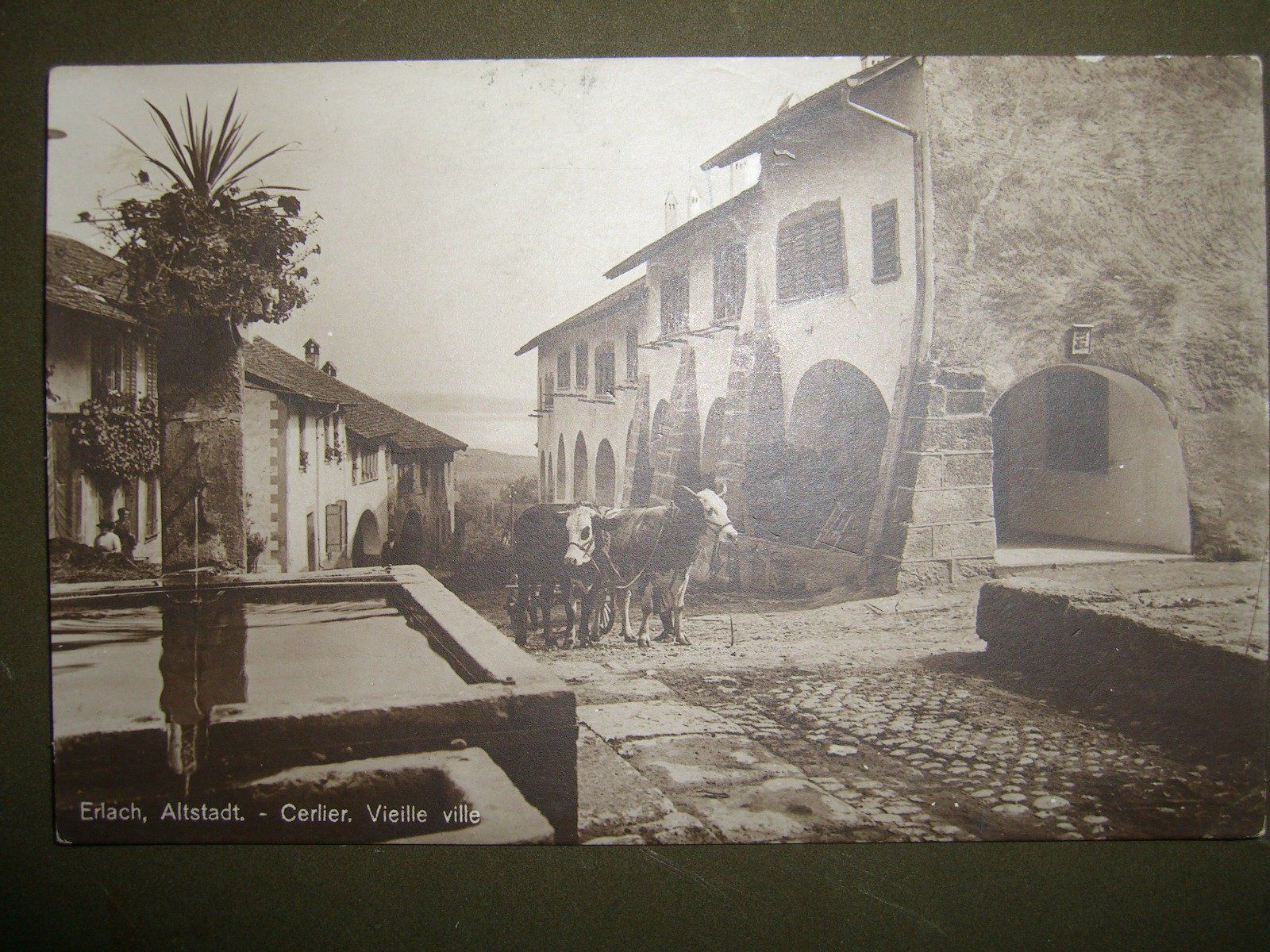 Cartoline postali: Erlach - Cerlier – Usato da Bischofszell venduto da Joachim-115