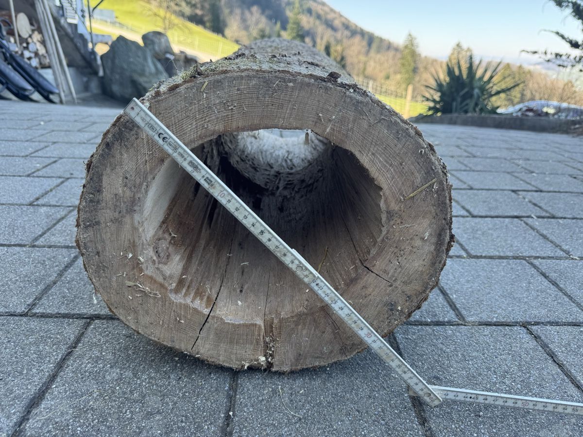 Articoli in legno: Rustikaler Baumstamm mit durchgehendem Loch – Nuovo (secondo la descrizione) da Reichenburg venduto da Noele123 3