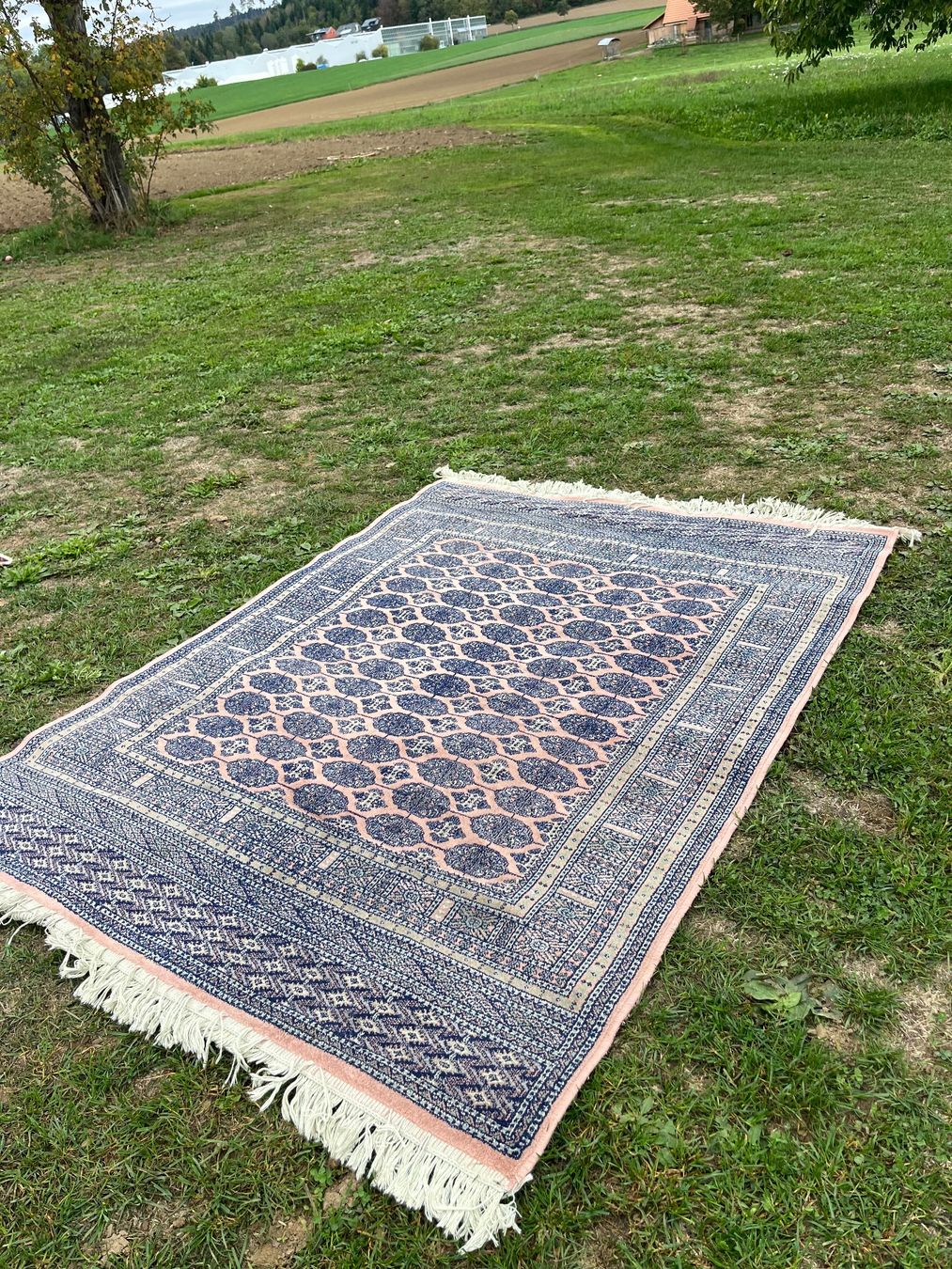 Teppiche: Orient Teppich Handgeknüpft Seide – Gebraucht aus Allmendingen b. BE von juair 3