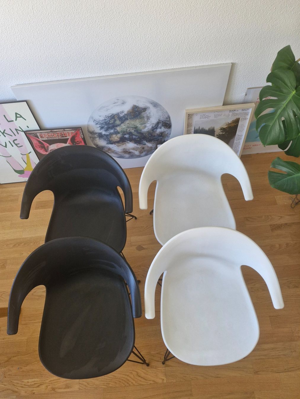 Sedie: 4× Esszimmerstühle – Usato da Winterthur venduto da MelBlondie 2