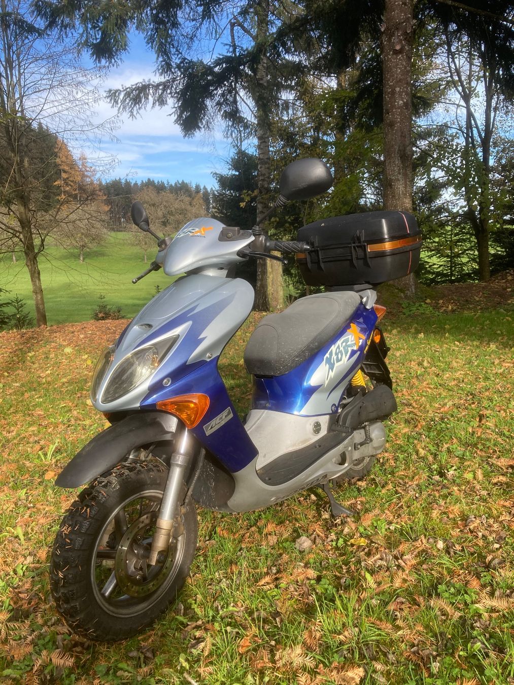 Honda Scooter: Honda SZX – Usato da St.Gallen venduto da niki112 3