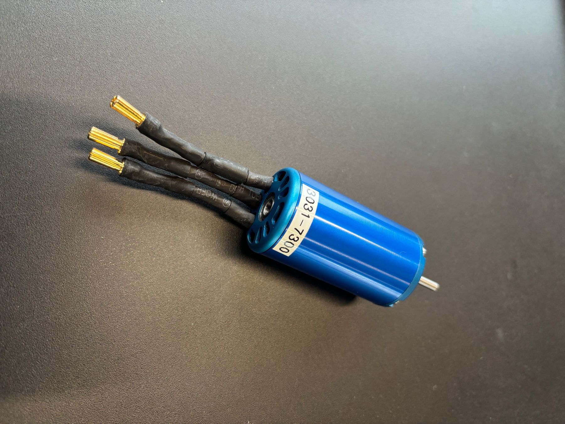 Moteurs: Leomotion BL E-Motor L3031-7300 – D'occasion à Oberwil b. Büren par Kueseschneider 2