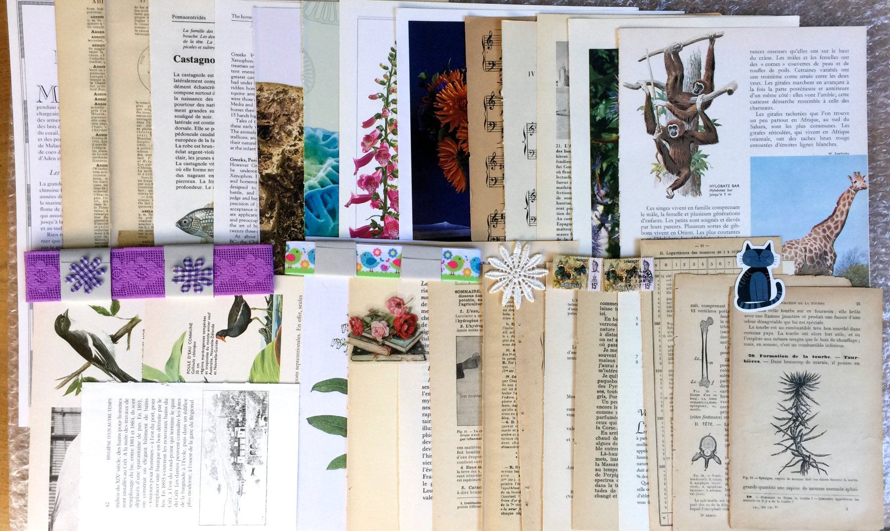 Bücher: ephemera 9/papier collage bastelpapier scrapbooking +Versand – Gebraucht aus Pully von websurfer1 9