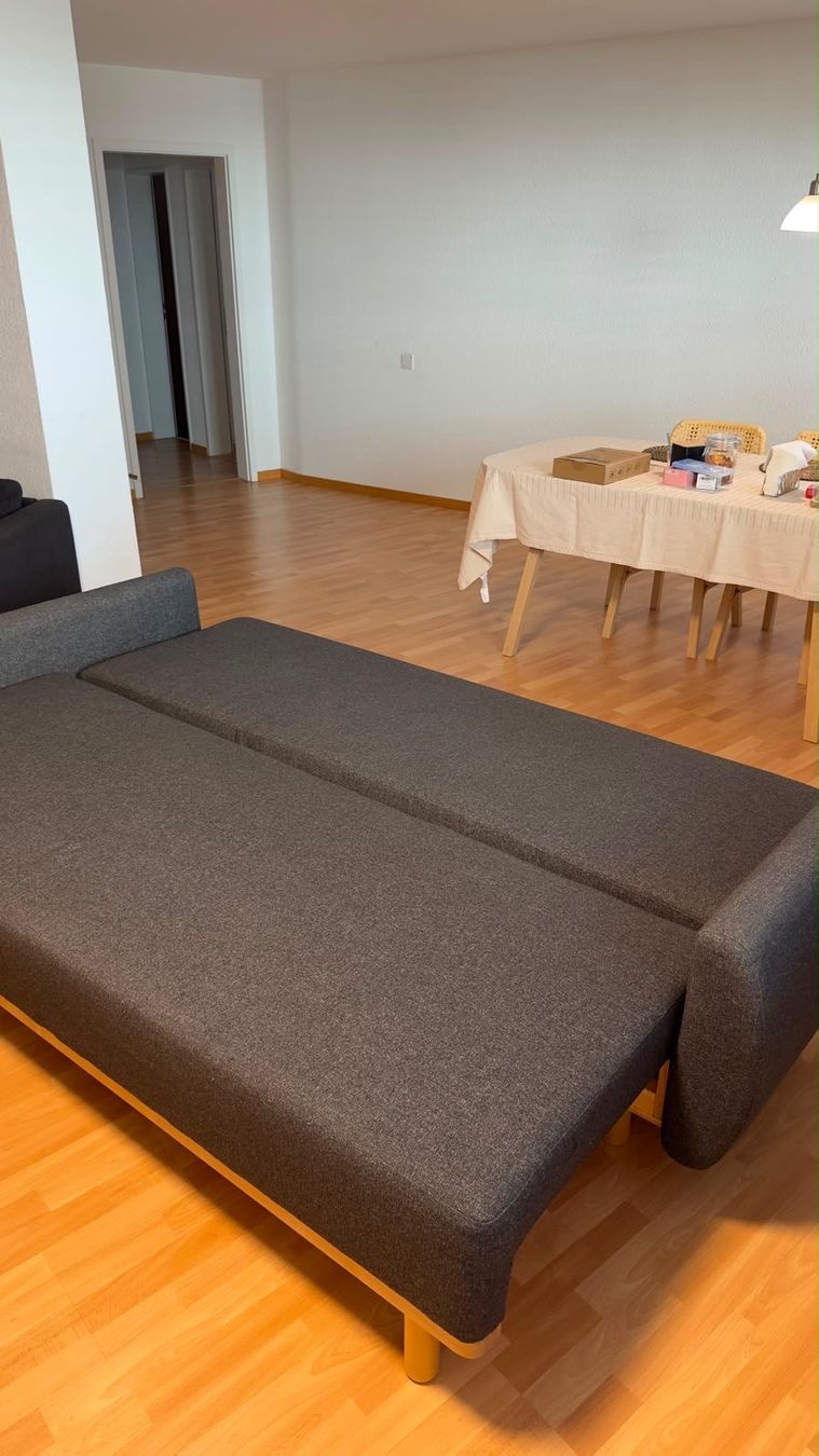 Ikea Divani: sofa bed – Nuovo (secondo la descrizione) da Kriens venduto da wmi_8chn 1
