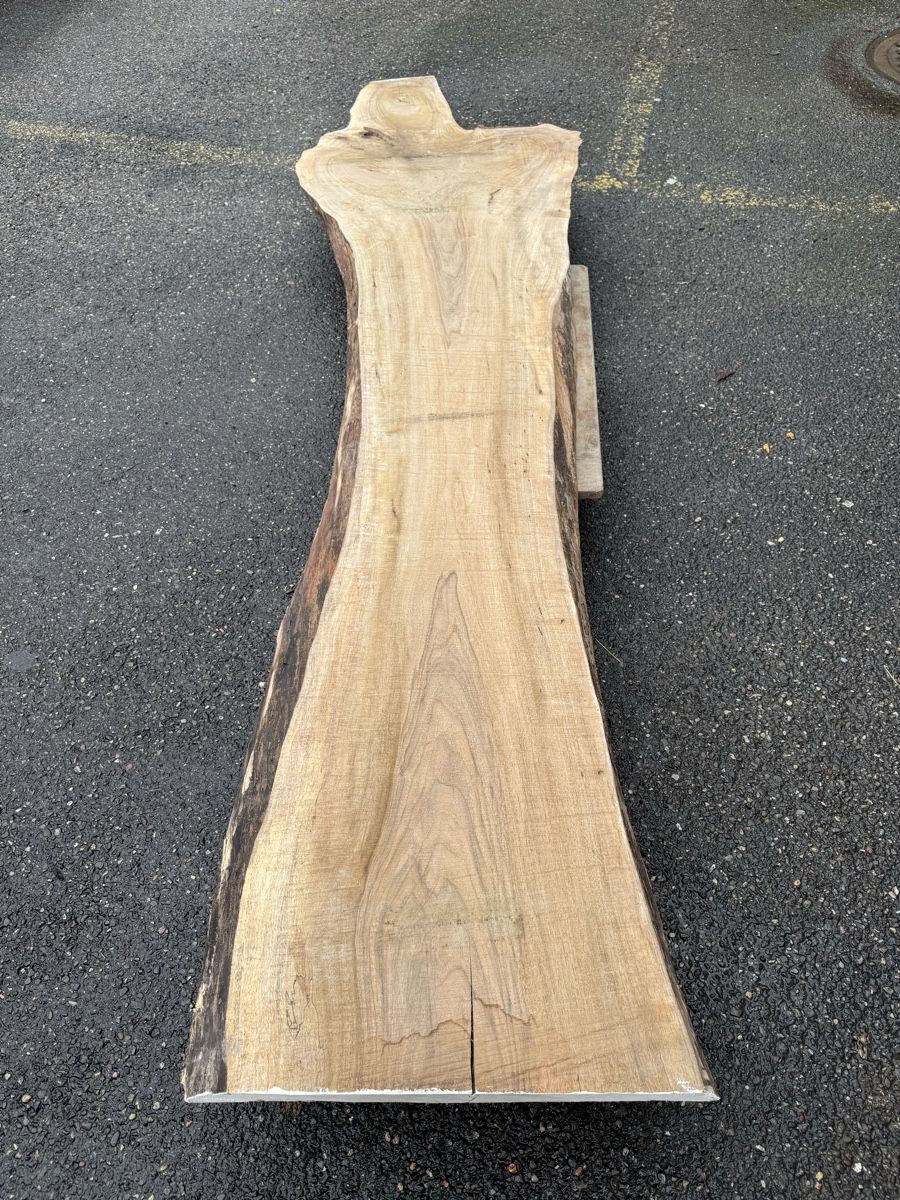 Articoli in legno: Nussbaum Klotzbrett 280  cm lang! – Usato da Gränichen venduto da onkel_xxl 3
