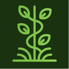 Profile image of GreenFactory