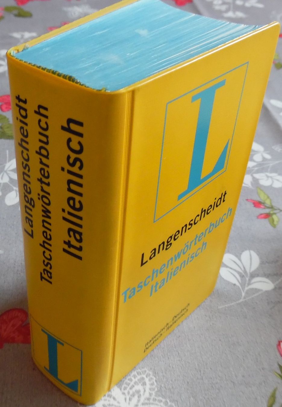 Bücher: 3 Wörterbücher – Gebraucht aus Bellinzona von Luna093 2