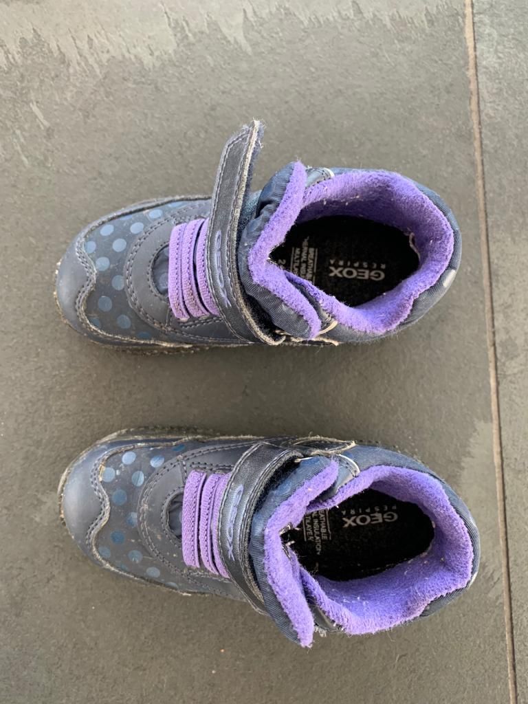 Geox Scarpe per ragazzi: GEOX Kinderschuhe, Grösse: 24 – Usato da Stetten SH venduto da Urlaub 4