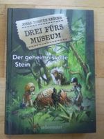 Drei fürs Museum - Geheimnisvolle Stein  (Jonas Thor Krüger)