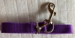 Hundeleine passend zu Halsband