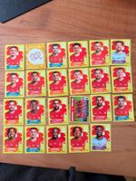 Panini Schweiz SUI 2026