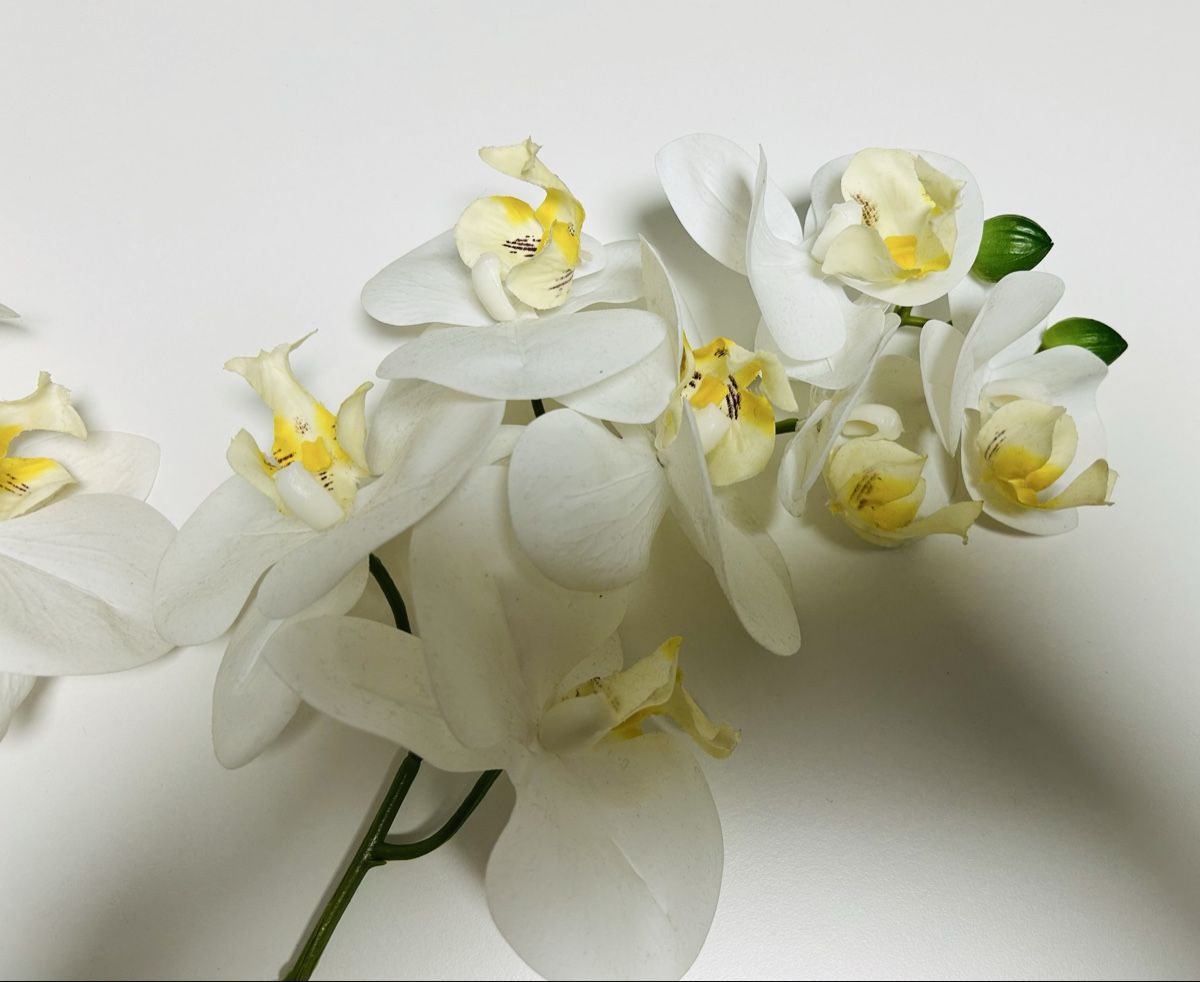 Alle Dekorationen: 2 Kunst Orchideen weiss, inkl. Vase – Gebraucht aus Gunten von starfish3 2