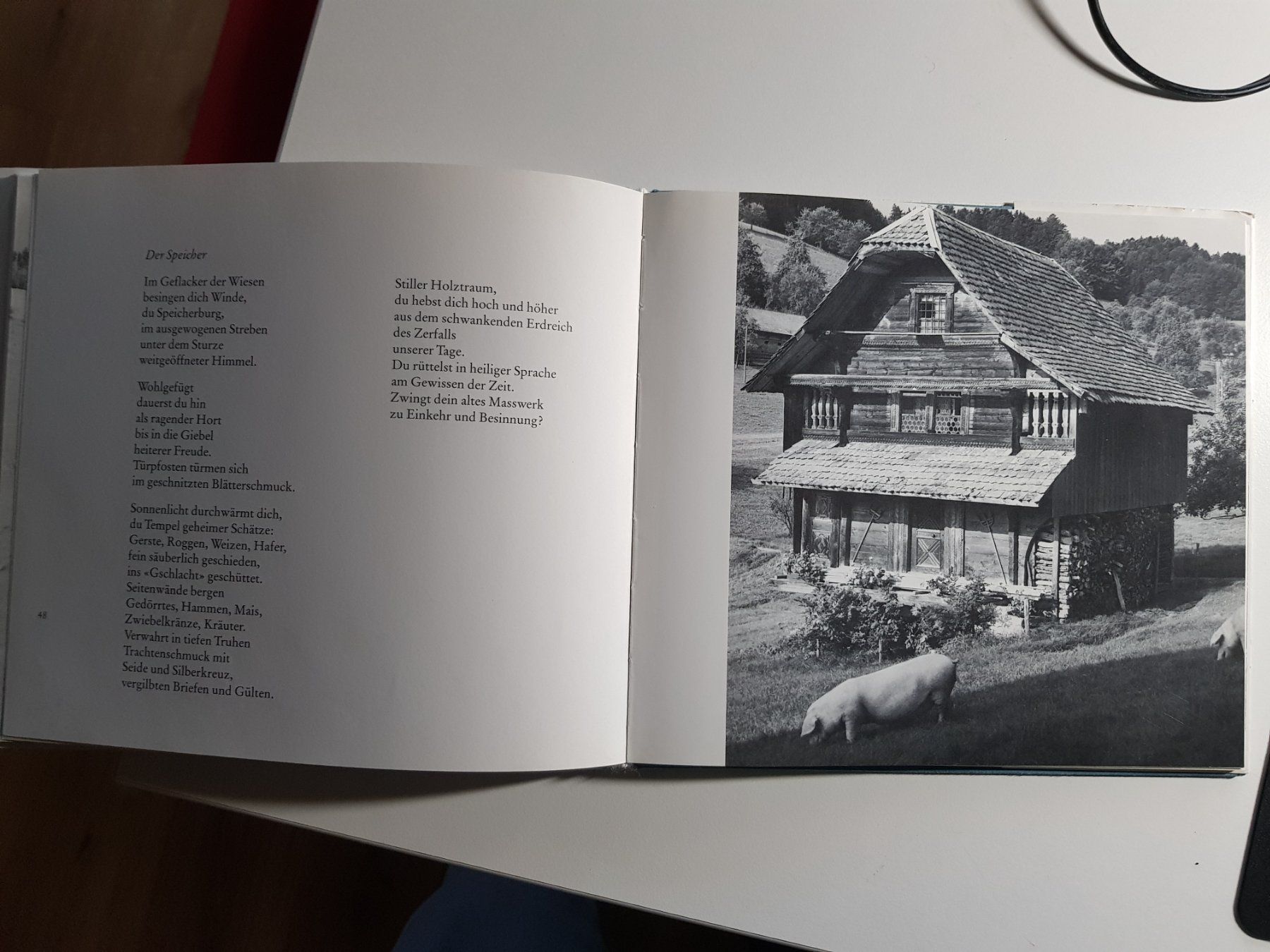 Libri: Buch: Napf Landschaft Bertwin Frey 1989 – Usato da Walterswil BE venduto da Lonitti 5