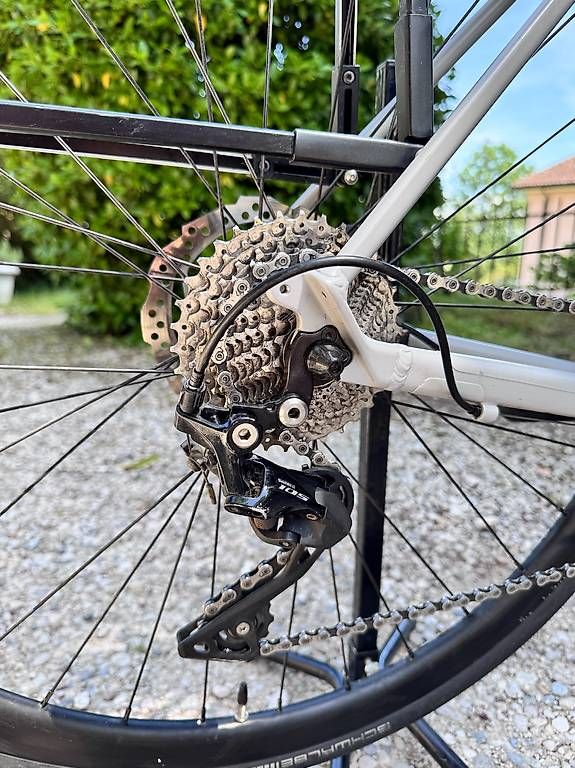 Canyon Biciclette: Canyon Roadlite 6 2022 - Taille M – Usato da Orbe venduto da gimmefive01 1