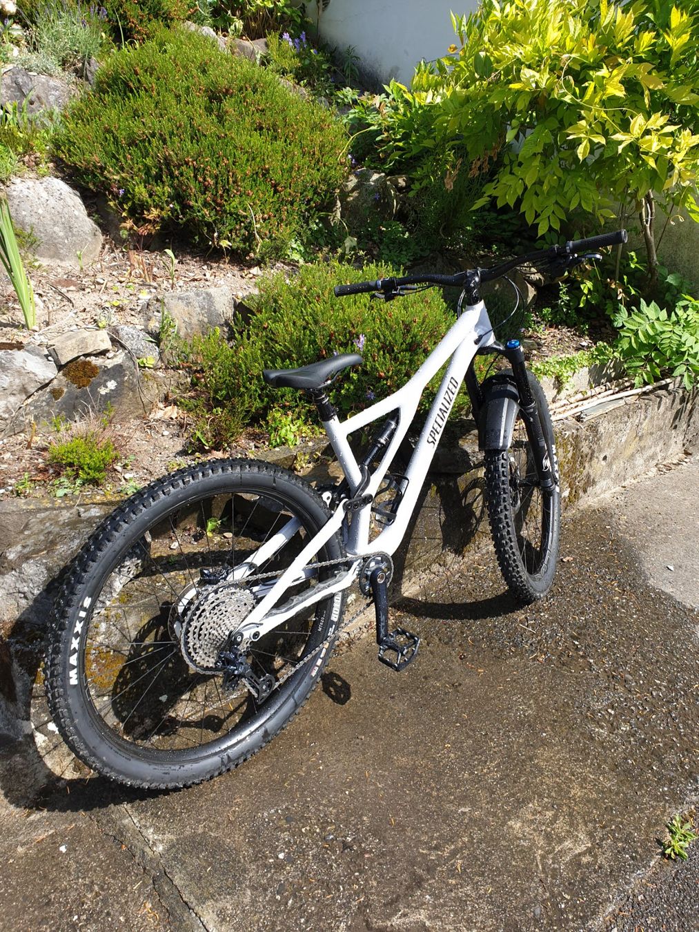 Specialized Biciclette: Specialized Stumpjumper Comp Alloy 29 (2020) – Usato da Ollon VD venduto da mar_m7gb 3
