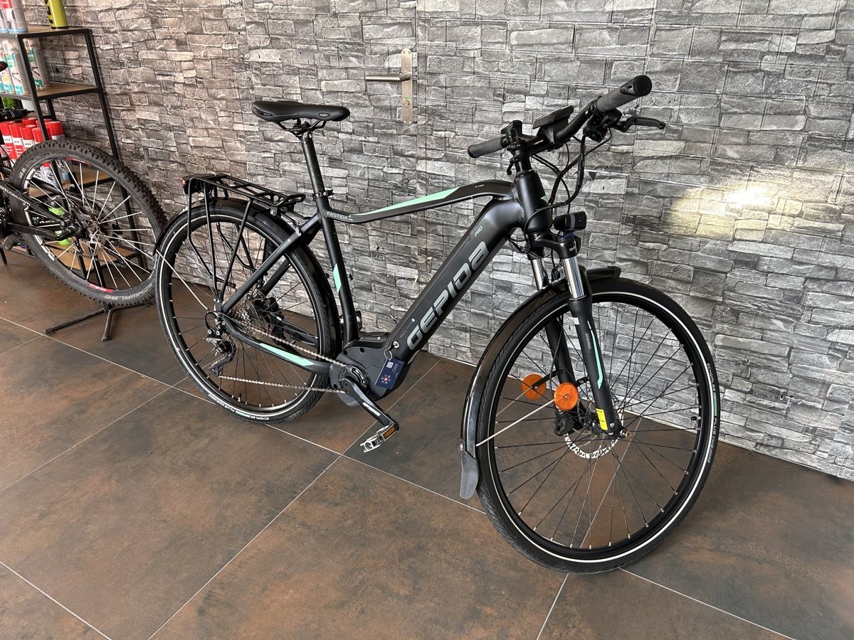Velos: Gepida Fastida PRO - E-Bike 45km/h – Gebraucht aus Root von Sajo_04 3