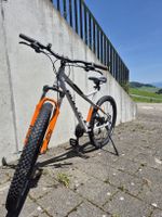 Mountain Bike Bulls Sharptail 2