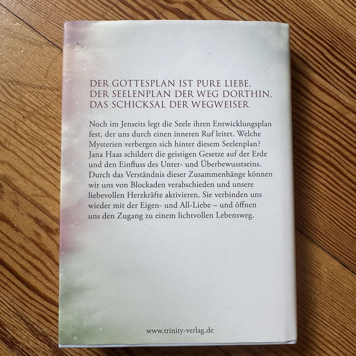 Libri: Buch der Seelenplan - Jana Haas – Usato da Binningen venduto da lebol0319 1