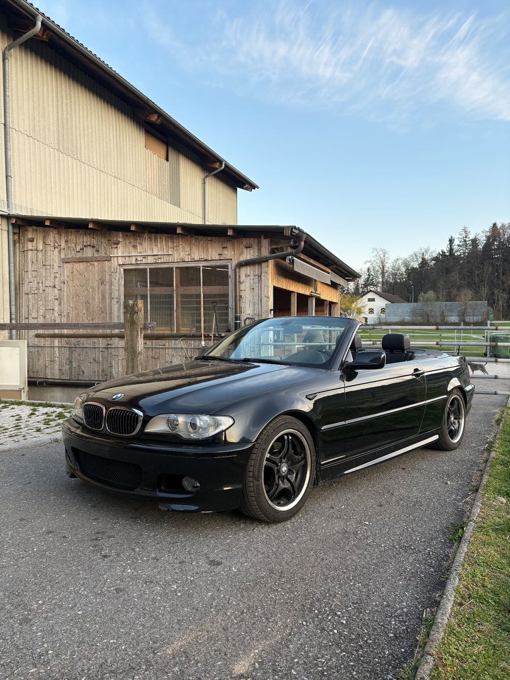 BMW Automobili: 320cd E46 – Usato da Obfelden venduto da str_bvx2