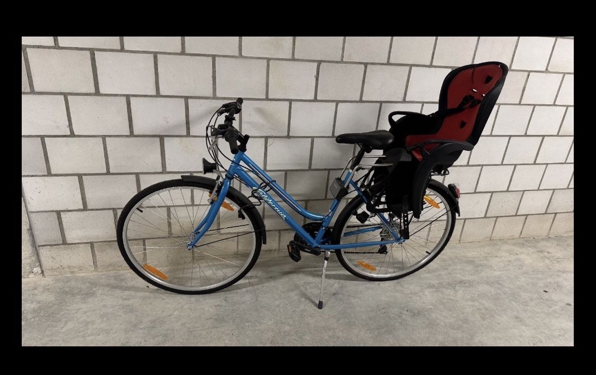 Pezzi di ricambio: Kindersitz für Velo – Usato da Lyss venduto da bauli79 1