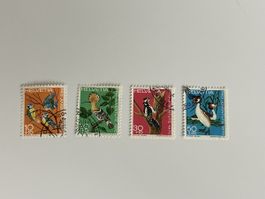 Pro Juventude 1970
