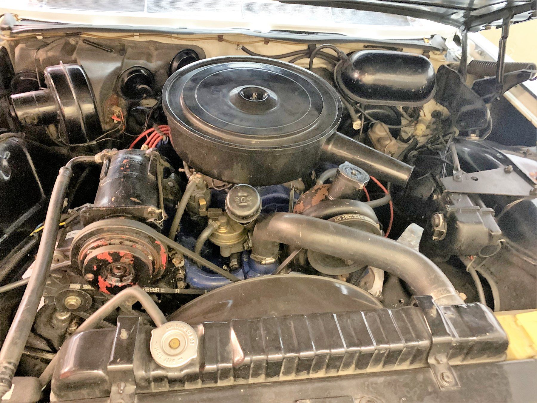 Cadillac Automobili: 1962 Cadillac Deville Cabrio / Convertible MFK Vet. – Usato da Reinach AG venduto da Conny_007 8