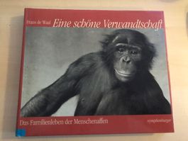 Eine schöne Verwandtschaft, Buch über Menschenaffen, Affen