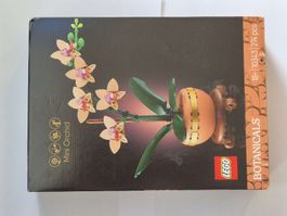 LEGO Botanicals Mini Orchidee 10343