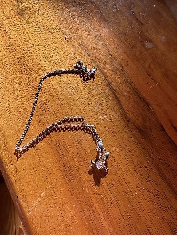 Catenine: Collier pendentif argenté – Nuovo e nell'imballaggio originale da Chamoson venduto da ccarruzzo 3