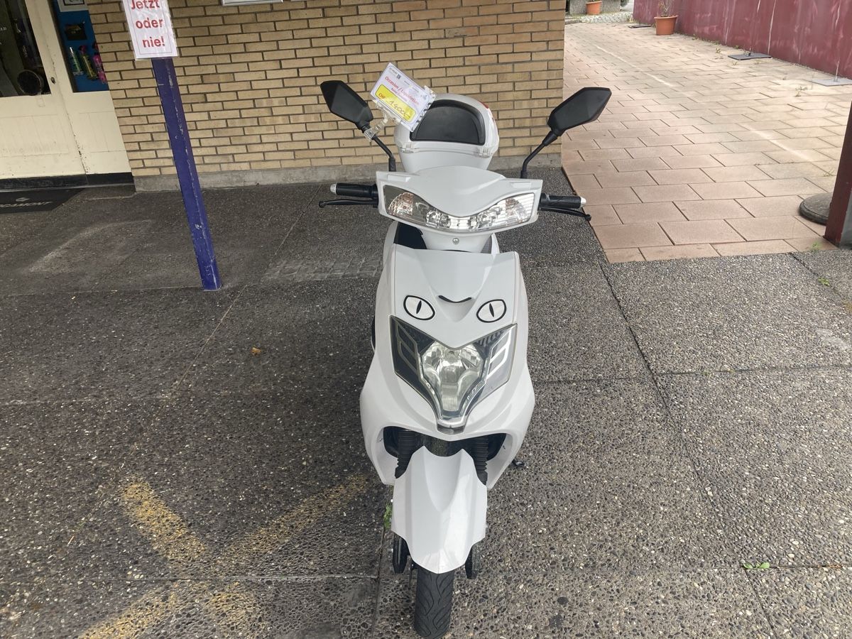 Scooter: Elektroroller  – Usato da Belp venduto da Cikarus 1