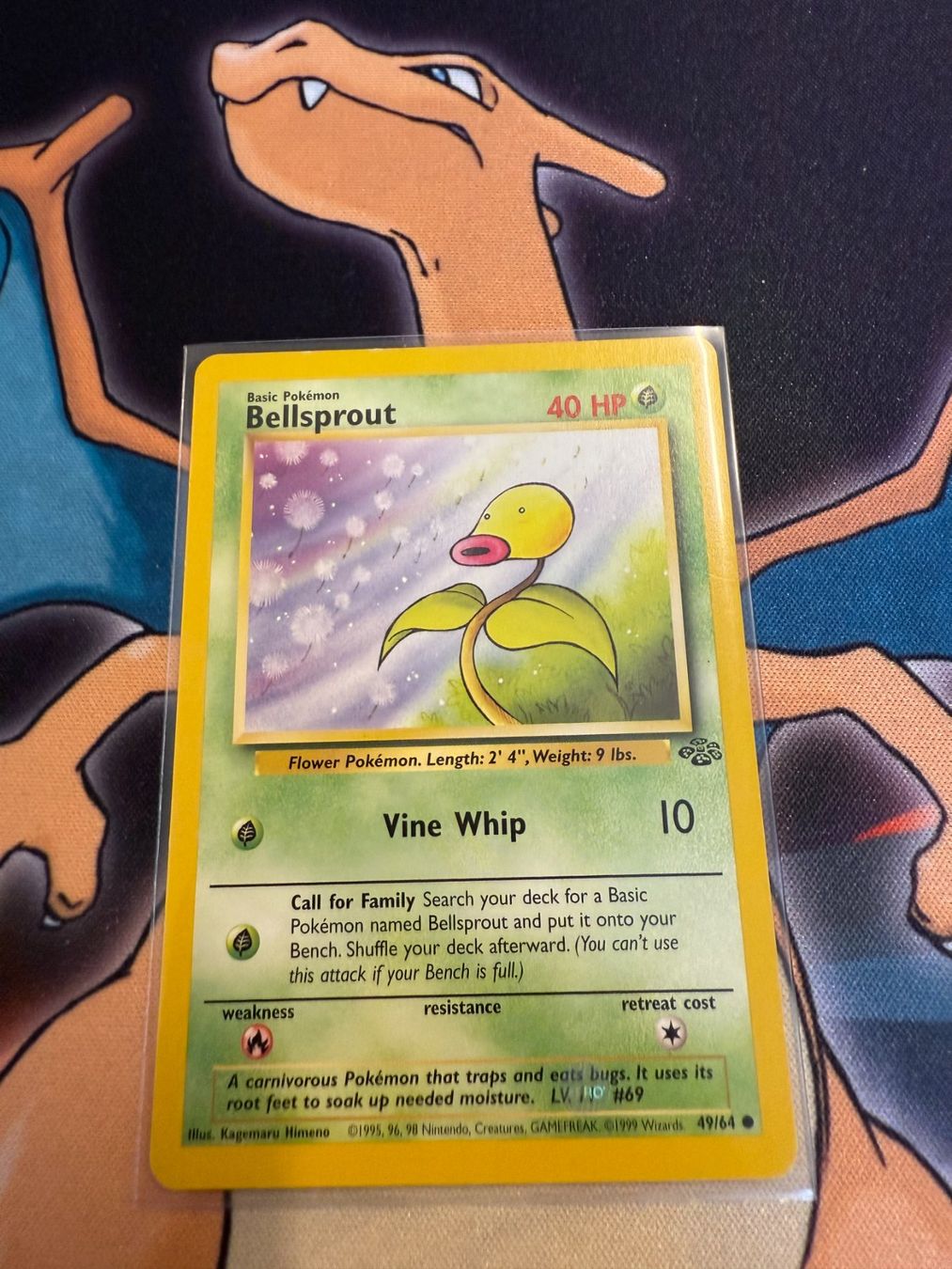Pokémon Carte collezionabili: Bellsprout (JU 49) - Jungle – Usato da Bülach venduto da Pfrenzel