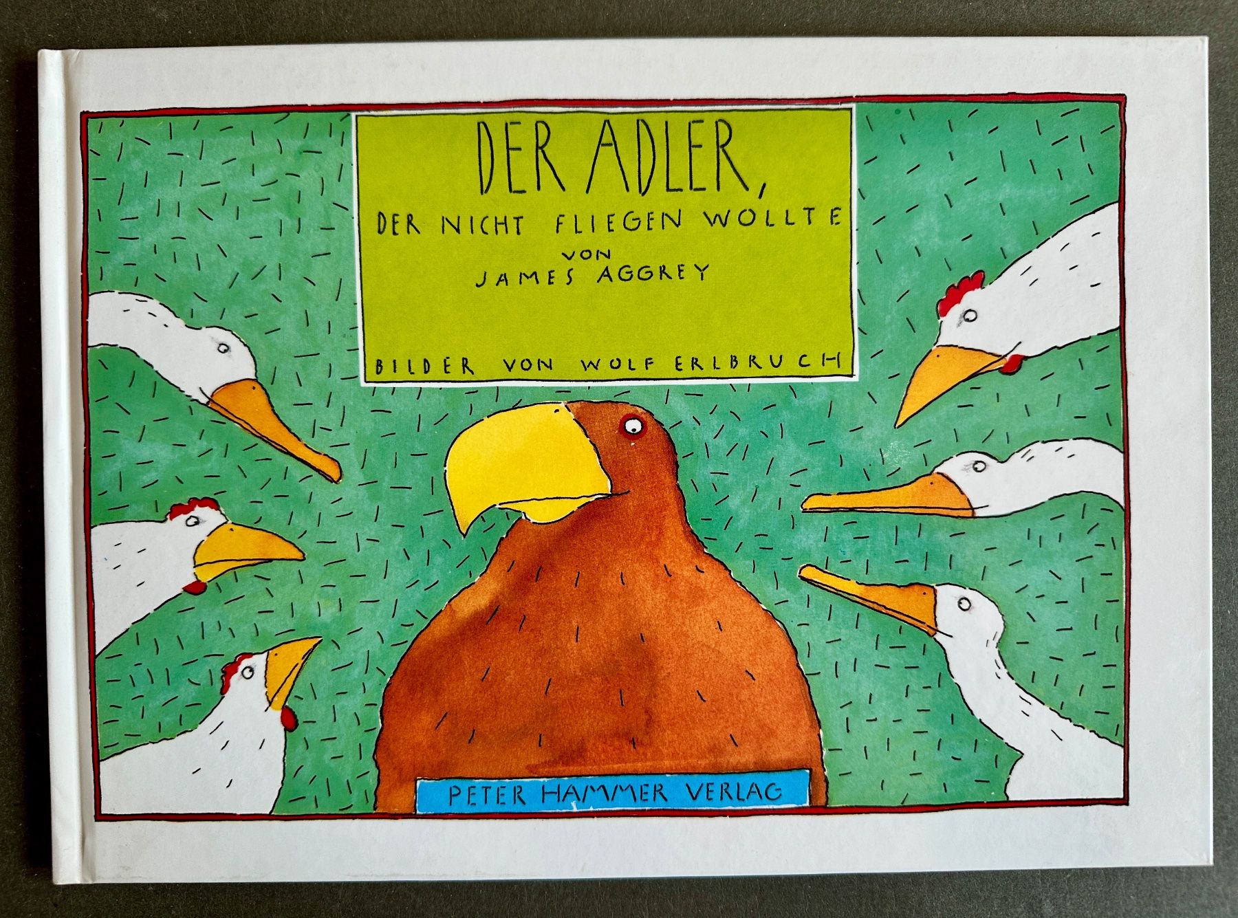 Bücher: Bücherpaket 5 Bilderbücher, neuwertig – Gebraucht aus Zürich von allp 5