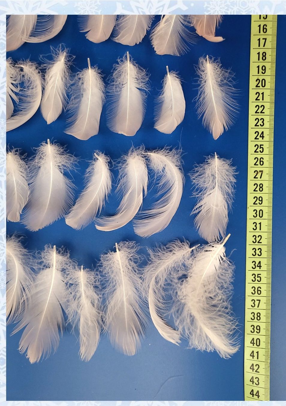Il mondo degli animali: Flamingo-Federn flauschig;  60 Stk. 4...9 cm lang – Usato da Linden venduto da Mb2bb 4
