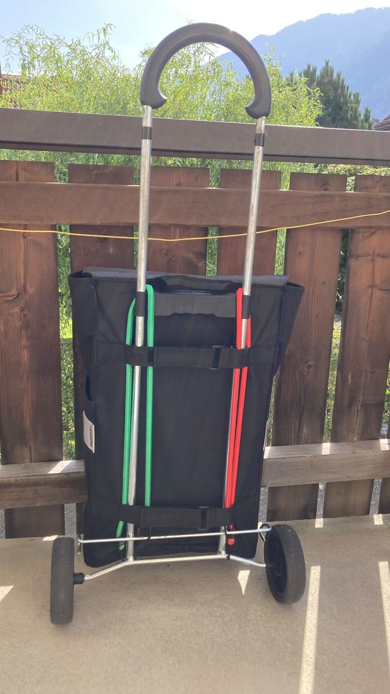 Altro per la casa: Einkaufswagen Shopper – Usato da Domat/Ems venduto da Sane66 2