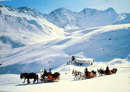 AROSA Berghotel Restaurant Alpenblick, Pferdeschlitten-Fahrt