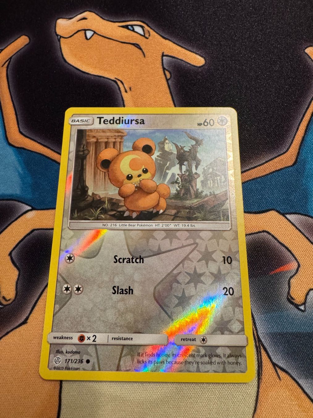 Pokémon Carte collezionabili: Teddiursa (CEC 171) - Reverse Holo - EN - Cosmic Eclipse – Nuovo (secondo la descrizione) da Bülach venduto da Pfrenzel