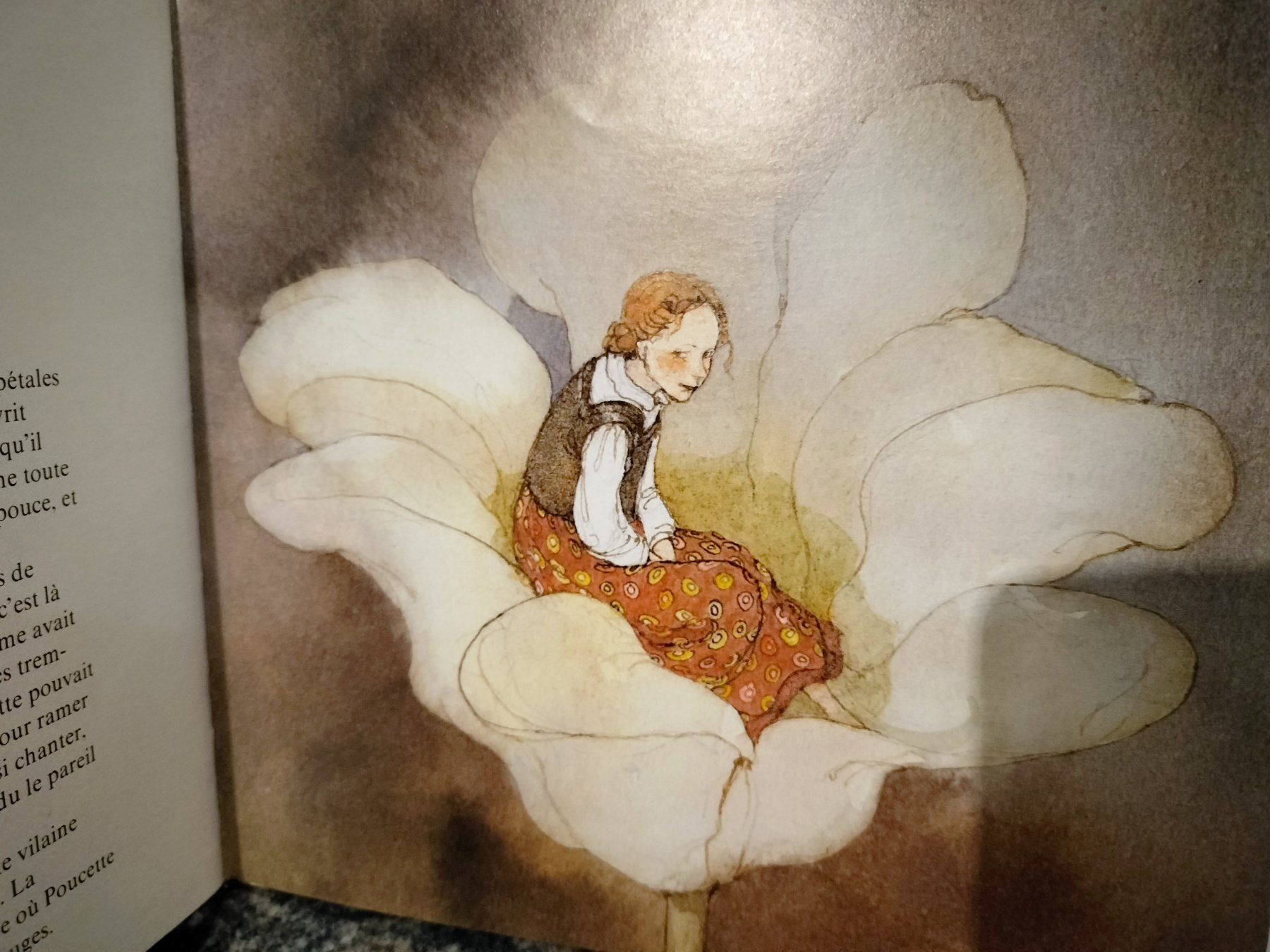 Bücher: POUCETTE un conte d'Andersen illustré par Lisbeth Zwerger – Gebraucht aus Cortaillod von  3
