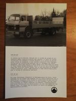 Saurer