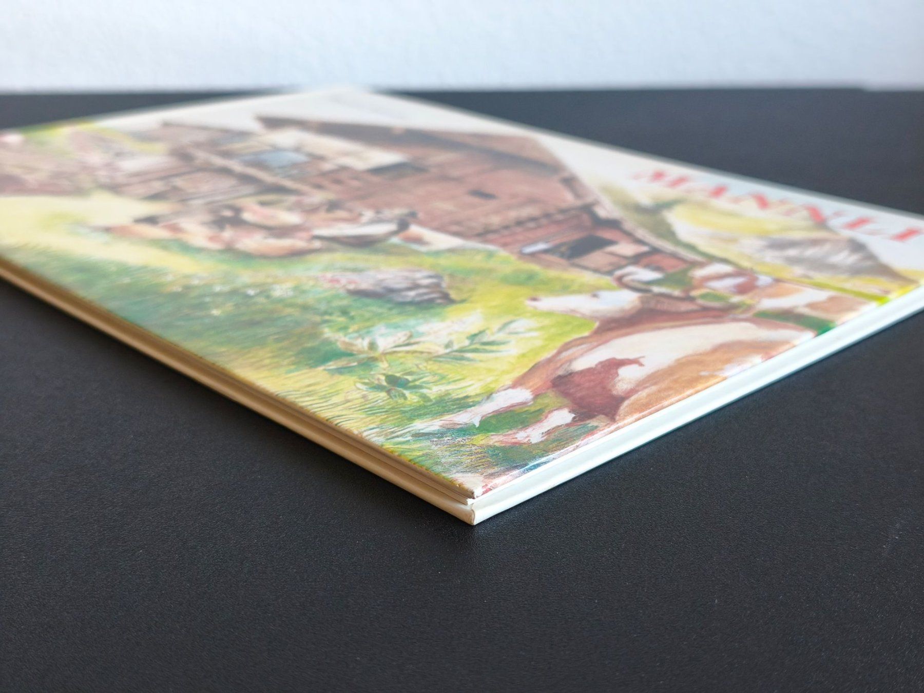 Libri: Bilderbuch: Mannli – Usato da Lenzburg venduto da Dani_Lenzburg 1
