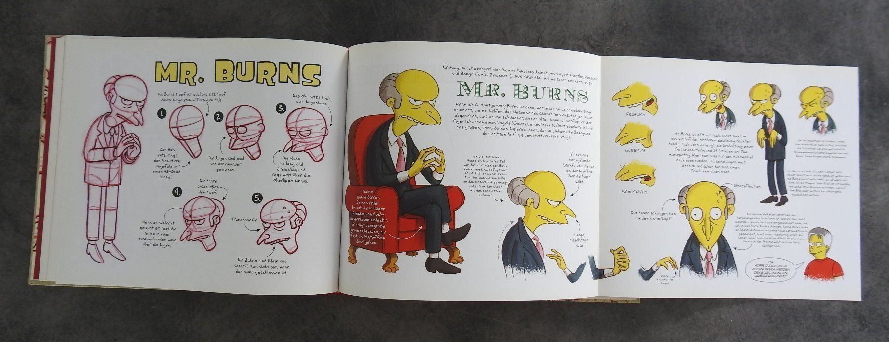 Libri: The Simpsons Handbuch - NEU – Nuovo e nell'imballaggio originale da Zürich venduto da Piki7 8