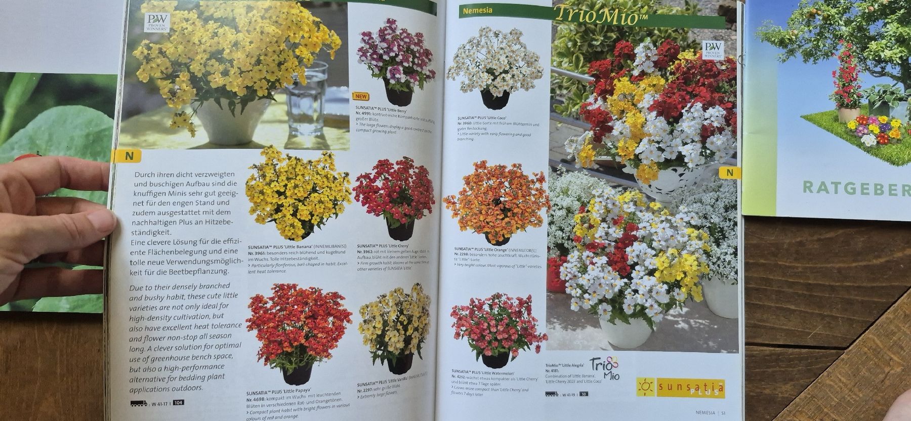 Libri: Kientzler Garten '24 Katalog – Usato da Luzern venduto da 365mal 1