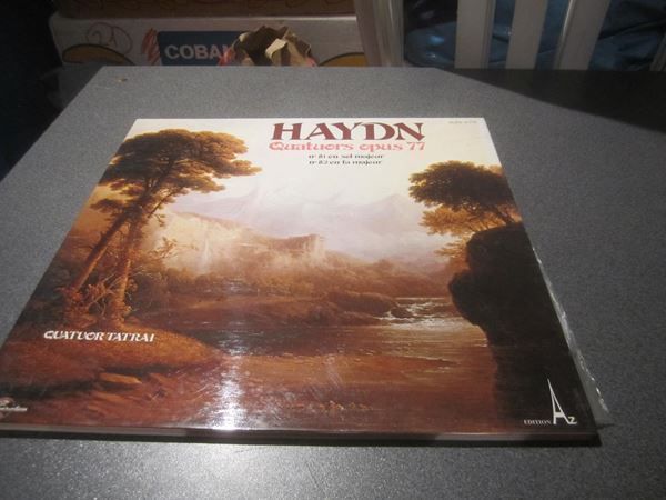 Dischi in vinile: Schallplatte Haydn Quatuors opus 77 – Usato da Zürich venduto da abraxas1291