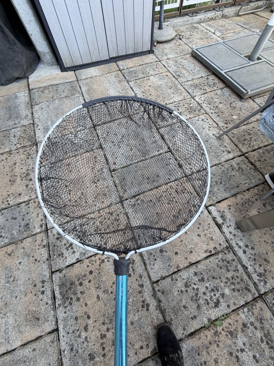 Supporti a parete: Teich Teleskop-Kescher 60cm – Usato da Altstätten SG venduto da Rschneider7 1