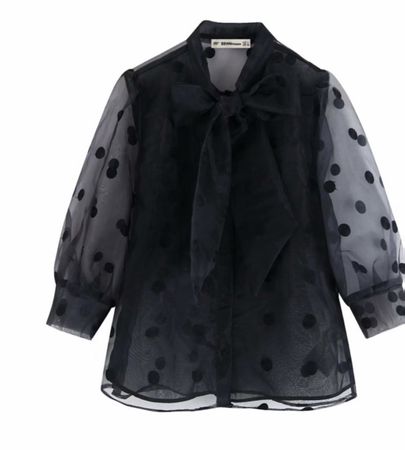 Zara shirt