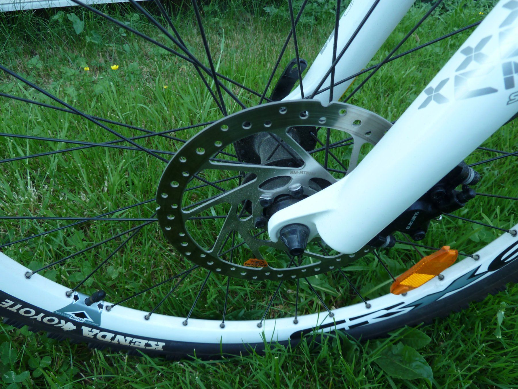 Biciclette: Mountainbike  Calofornia – Usato da Basel venduto da kapi5454 1