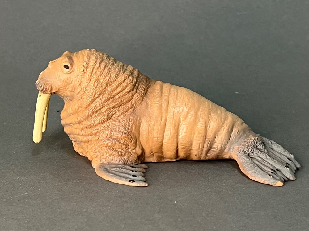 Schleich Walross hochwertige Qualität Wassertier Meerestier (Gebraucht ...