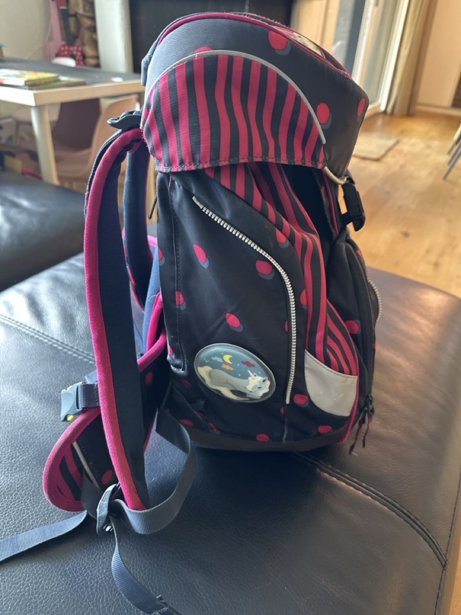 Ergobag Borse & Zaini: Schulrucksack Ergobag gebraucht – Usato da Bülach venduto da eugig5 1